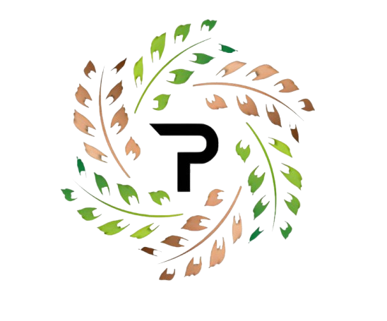 Spinning Logo