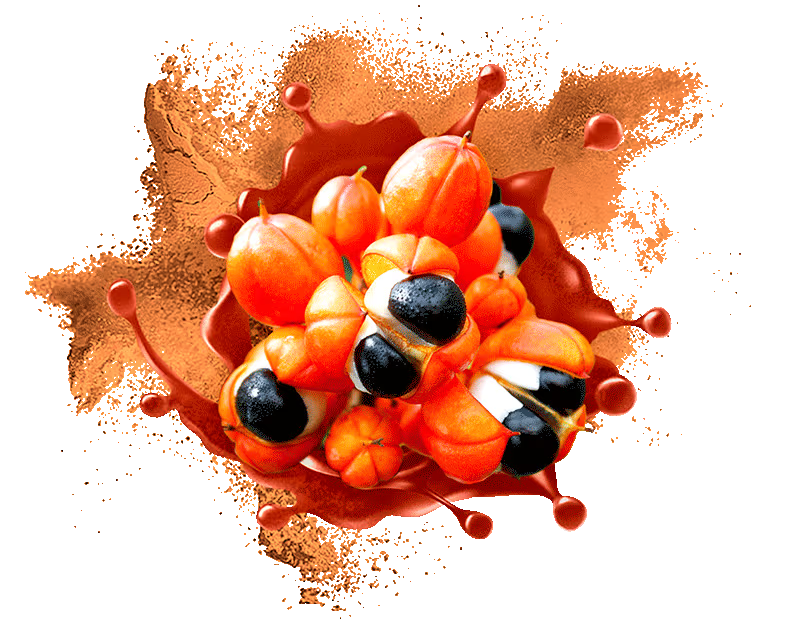 acerola