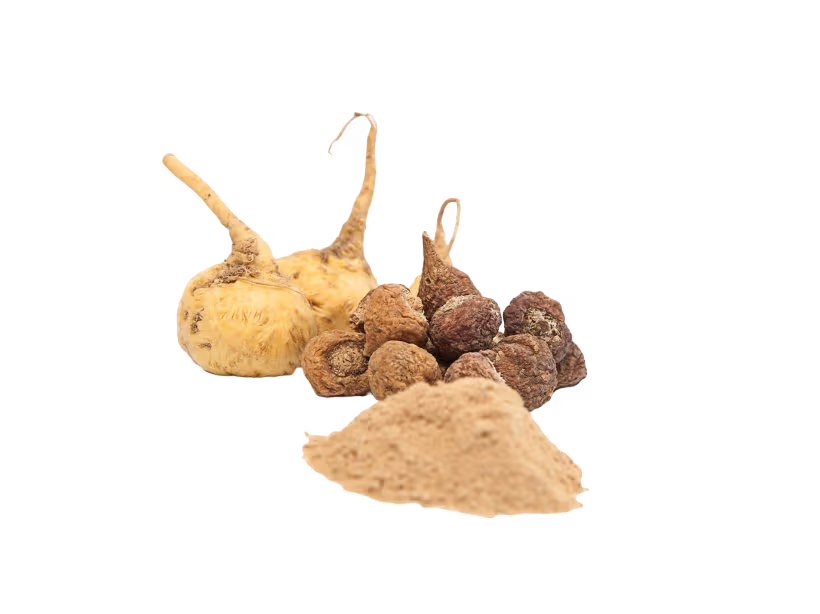 moringa