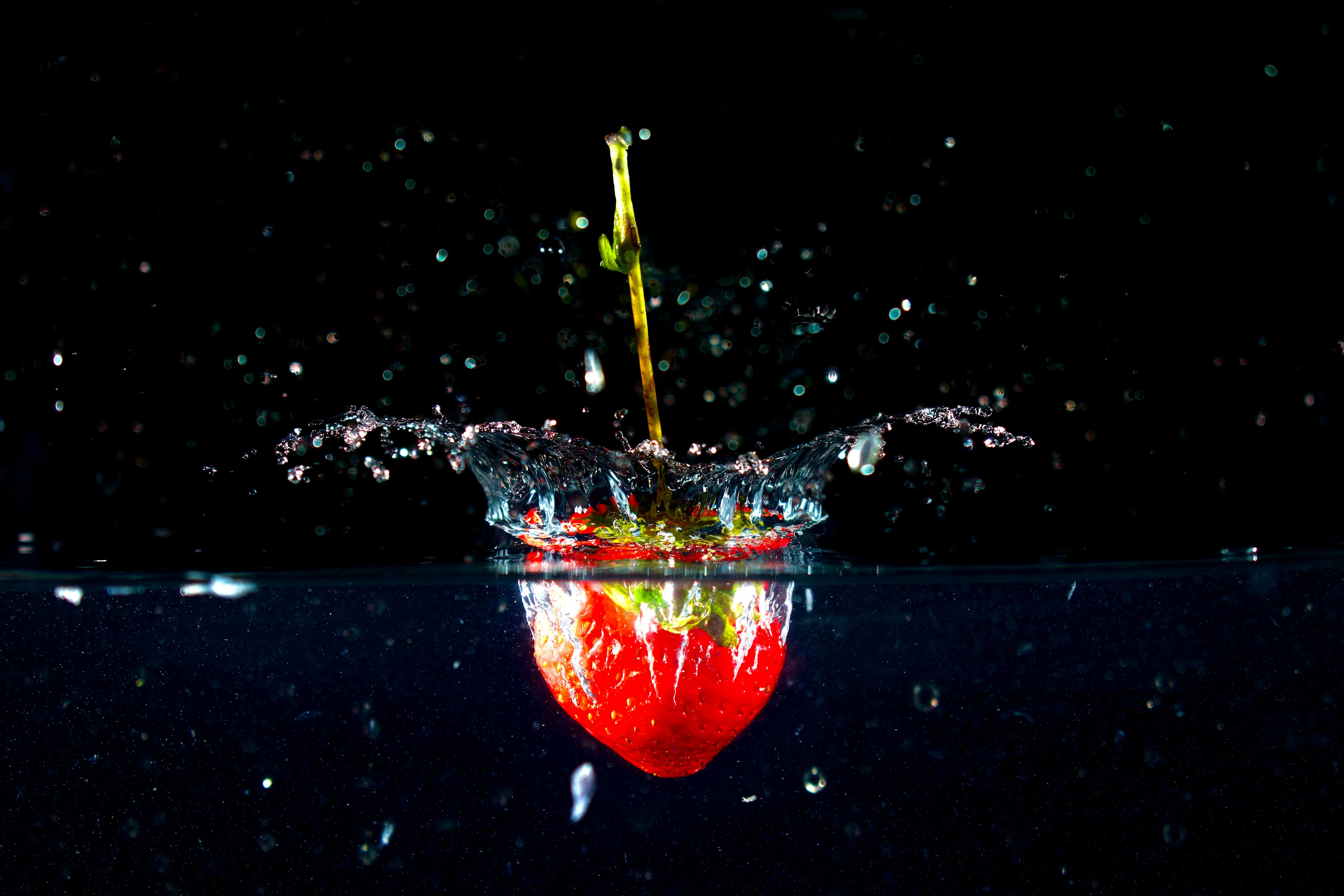 Banner 4