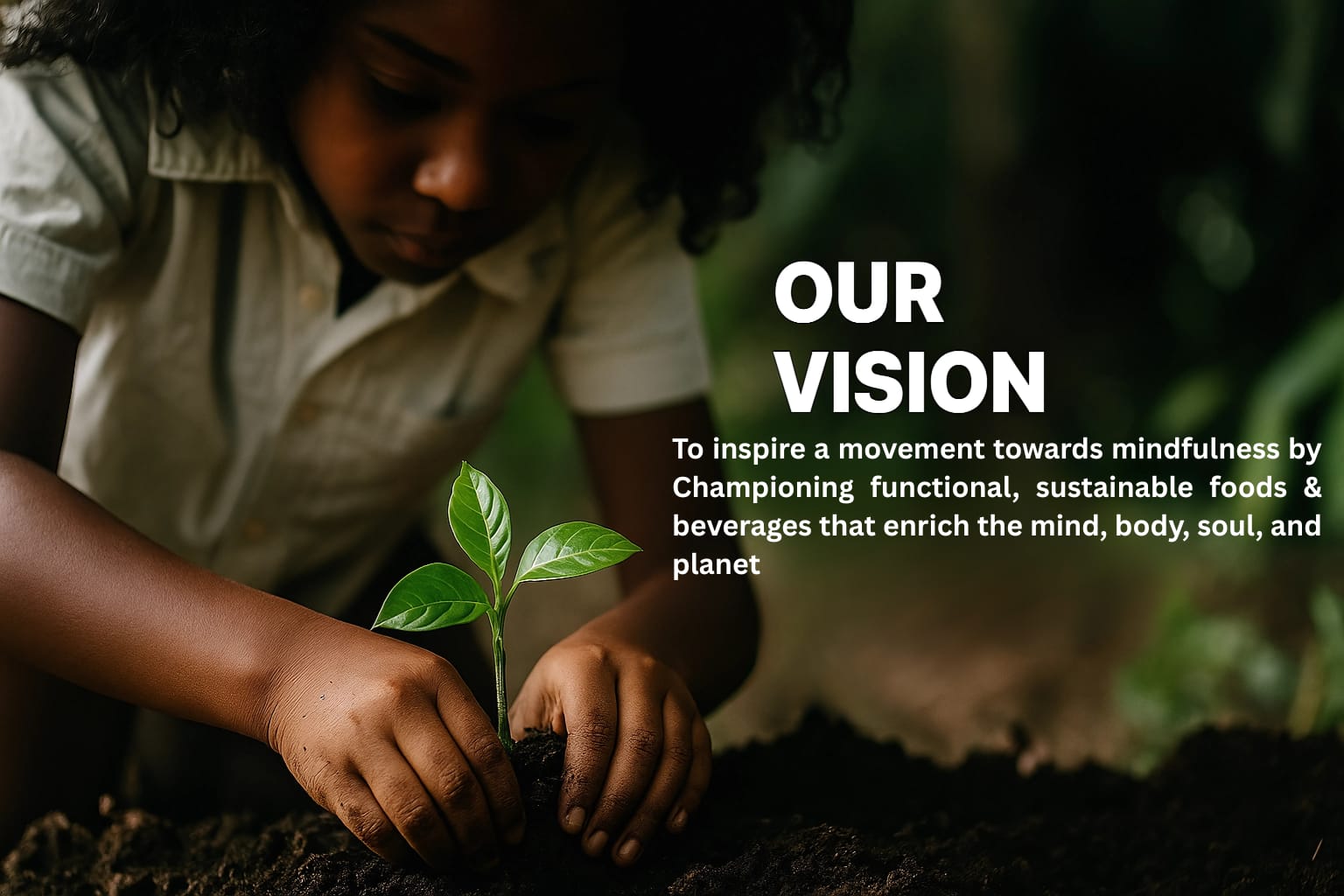 Our Vision